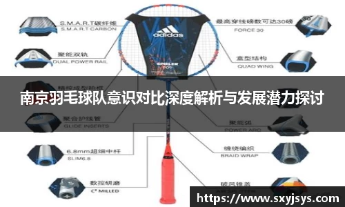 南京羽毛球队意识对比深度解析与发展潜力探讨